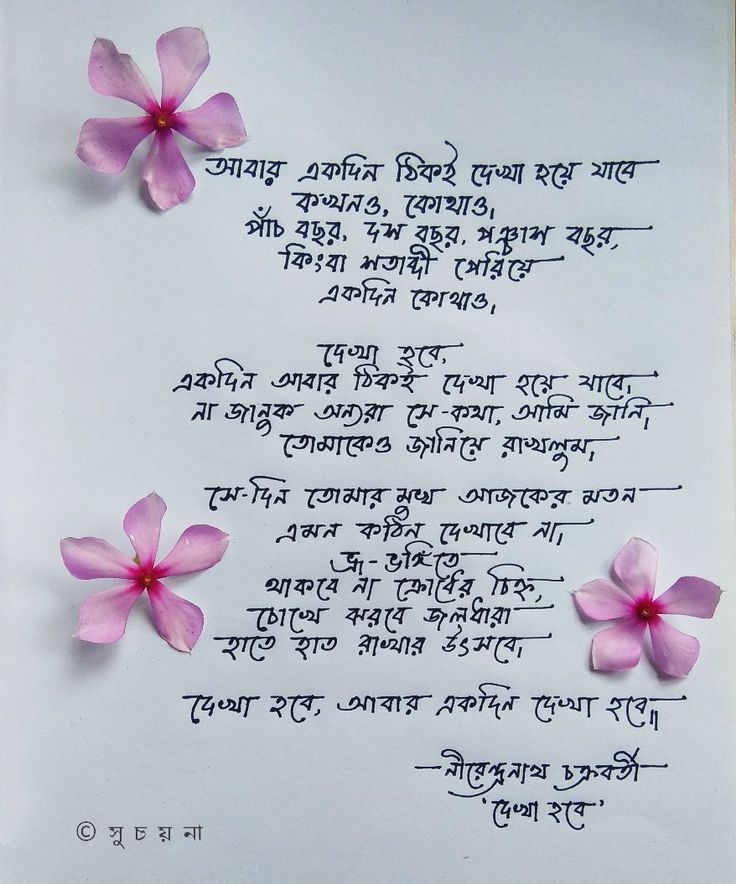 some pink flowers on top of a white paper with words written in english and chinese