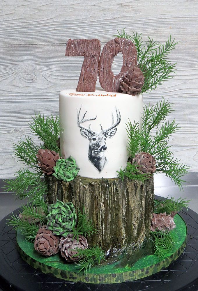 a cake decorated with pine cones and evergreens