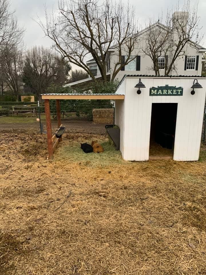 there is a chicken coop in the yard with hay on the ground next to it