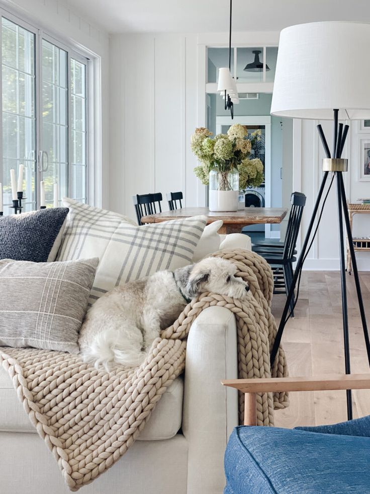 a living room filled with furniture and a dog laying on top of a couch next to a table