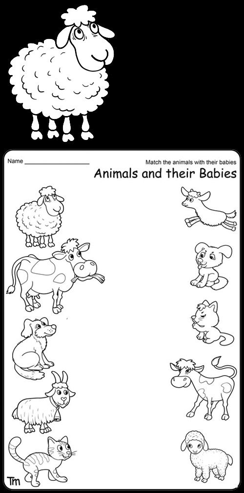 an animal and their babies worksheet for children to learn how to draw them