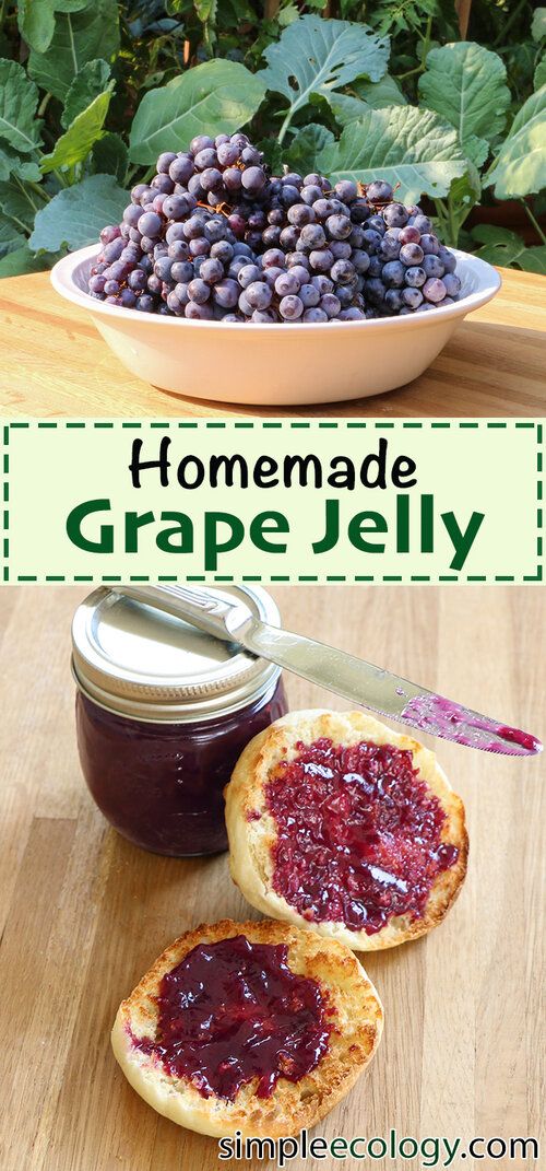 homemade grape jelly in a glass jar next to some bread