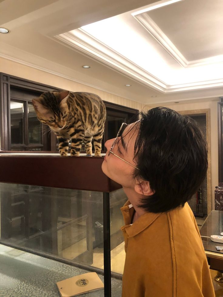 a woman standing next to a cat on top of a glass case