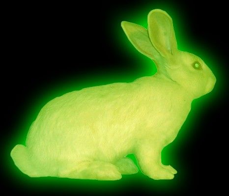 a neon green rabbit sitting in the dark