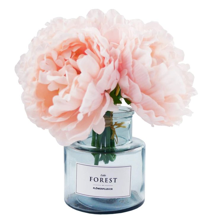 a pink carnation in a glass jar with the word forest printed on it's label