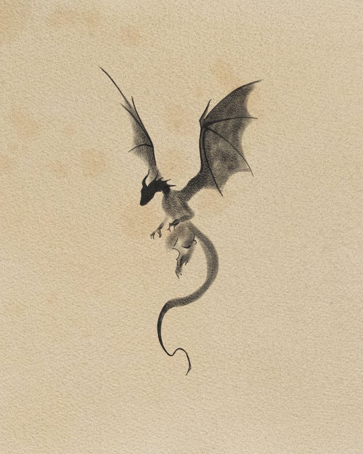 I will do a tattoo sketch Dragon Drawing Sketches Tattoo Ideas, Dragon Tree Tattoo, Dragon And Bird Tattoo, Wyvern Tattoo For Women, Forest Dragon Tattoo, Dragon Flying Tattoo, Roommate Tattoo, Dragon Flying Drawing, Elegant Dragon Tattoo