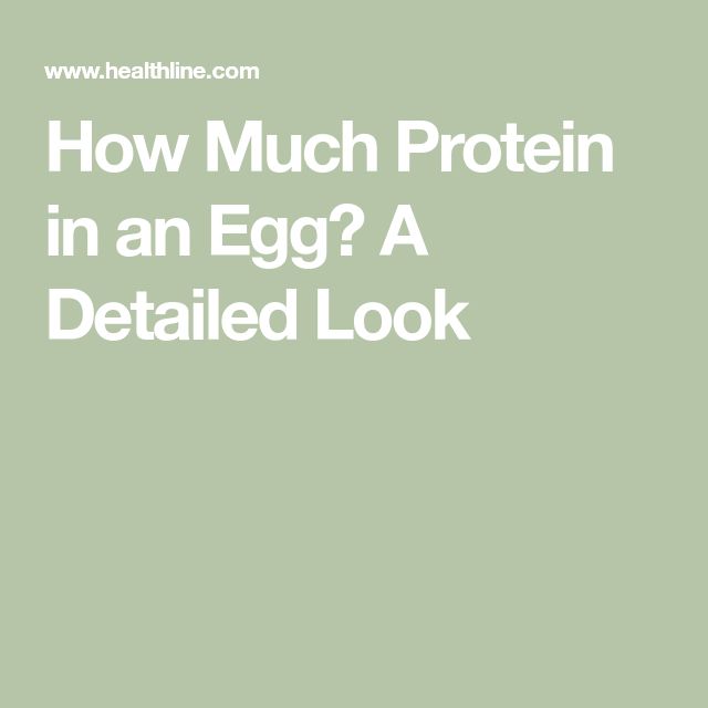 the words how much protein in an egg? a detailed look on a green background