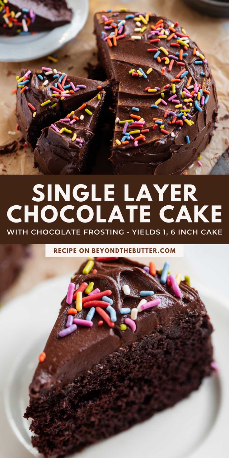 single layer chocolate cake with chocolate frosting and sprinkles