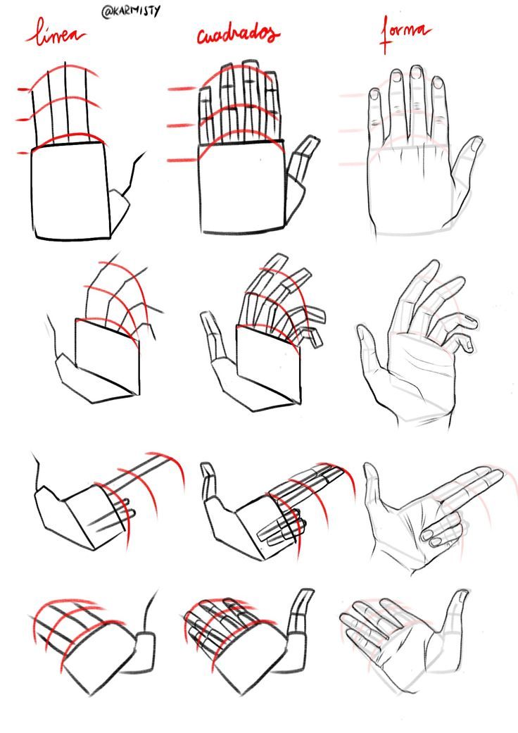 how to draw hands with different positions and shapes for each hand, from the top view