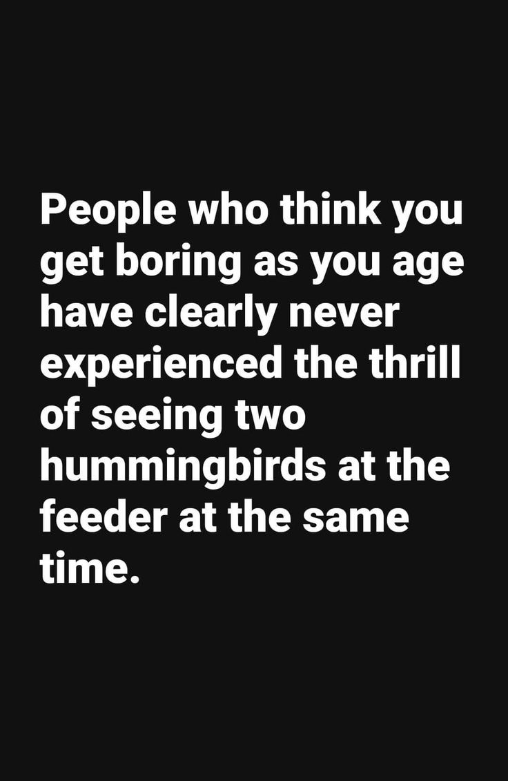 people who think you get boring as you age have clearly never experienced the thrill of seeing two hummingbirds at the feeder at the same time