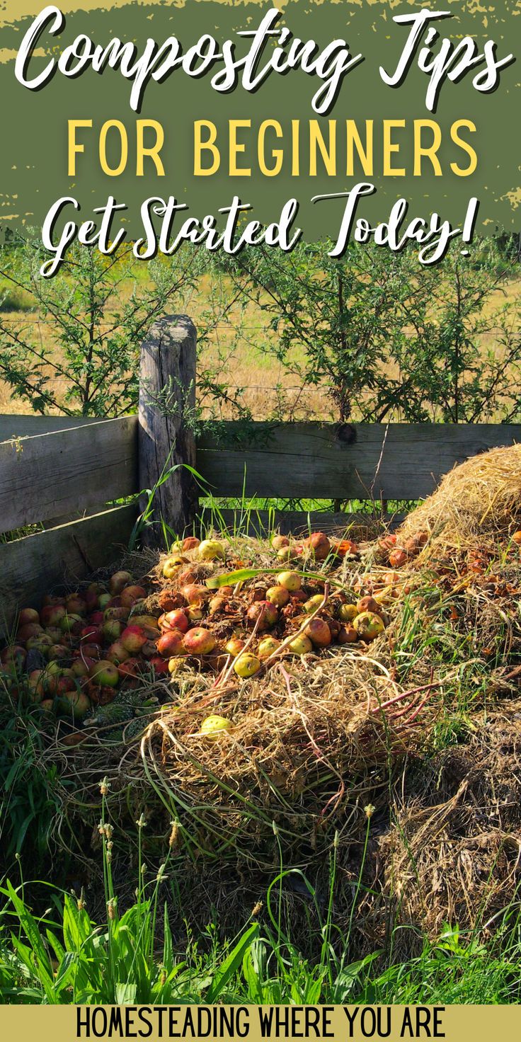 a pile of apples sitting in the grass with text overlay reading composting tips for beginners get started today