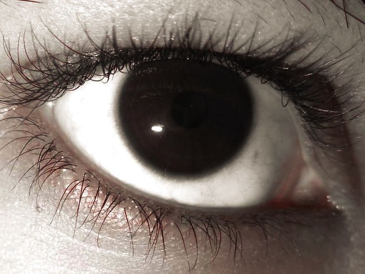 an eye is shown with long eyelashes