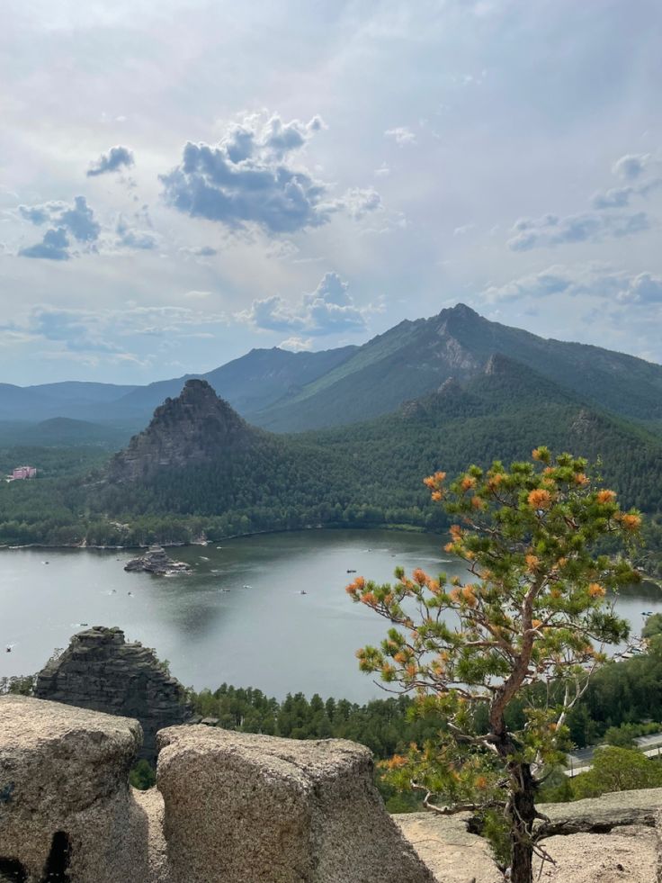 a lone pine tree grows on the edge of a cliff overlooking a lake and mountains