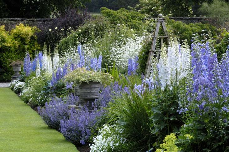 a garden filled with lots of purple and white flowers