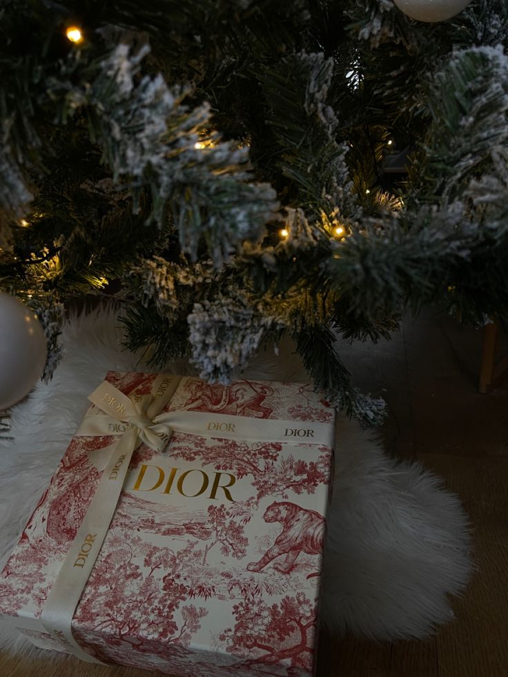 Red Dior box under the Christmas tree with a bow Christmas Tree Old Money, Dior Christmas Packaging, Christmas Gifts Under Tree, Dior Christmas Tree, Gifts Under Tree, Old Money Christmas, Presents Under The Christmas Tree, Dior Christmas, Under Christmas Tree