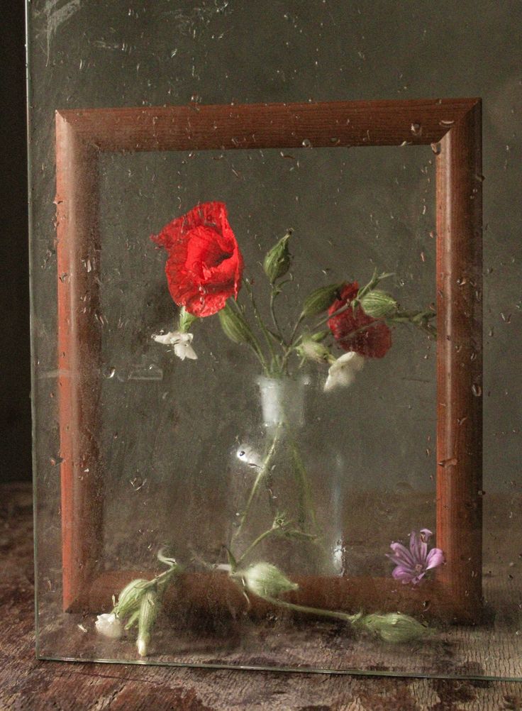 a vase filled with red flowers sitting on top of a table next to a mirror