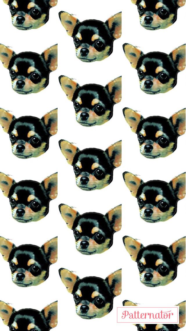 an image of a dog's face with many different expressions