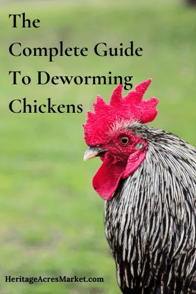 a rooster with the words the complete guide to dewning chickens on it's head