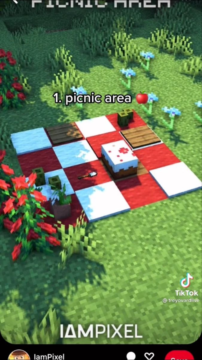 an image of a game screen with the words picnic area and flowers in front of it