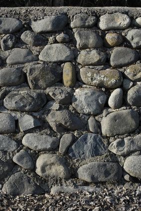 a black and white cat sitting on top of a stone wall