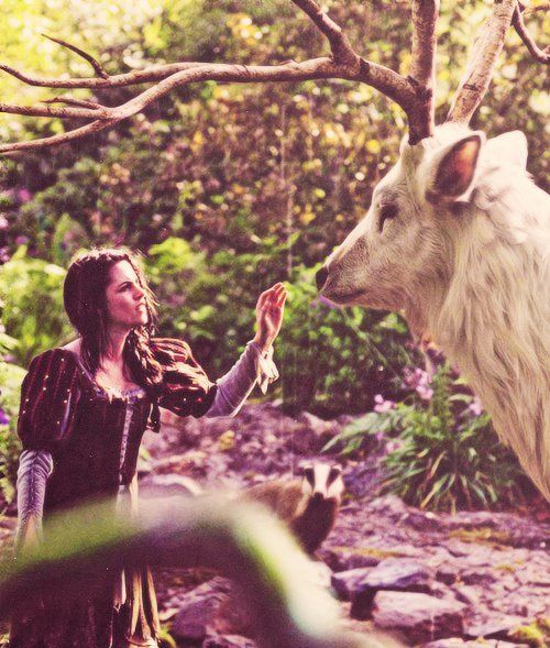 a woman standing next to a white cow in the woods with trees and rocks behind her