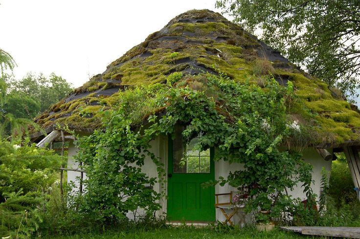 a small house with a green door and ivy growing on it's roof that is covered in moss