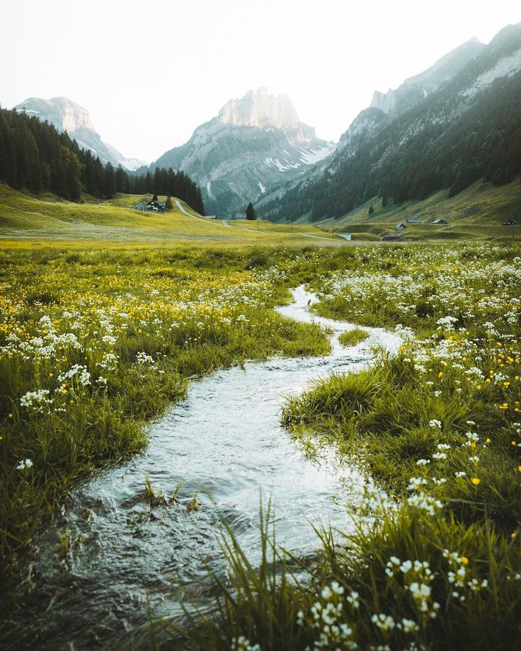 a small stream running through a lush green field with mountains in the backgroud