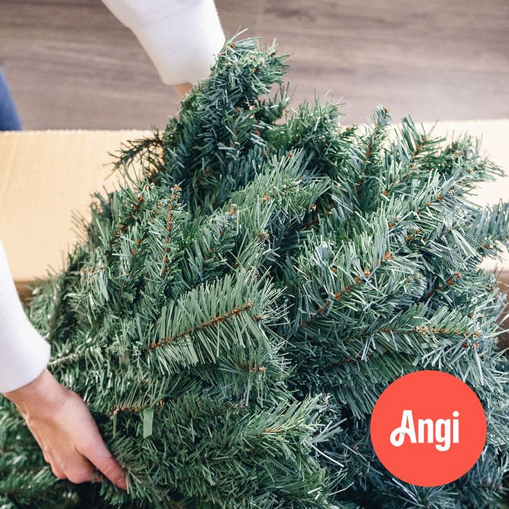 a person holding a box with an evergreen tree in it and another hand reaching for the top