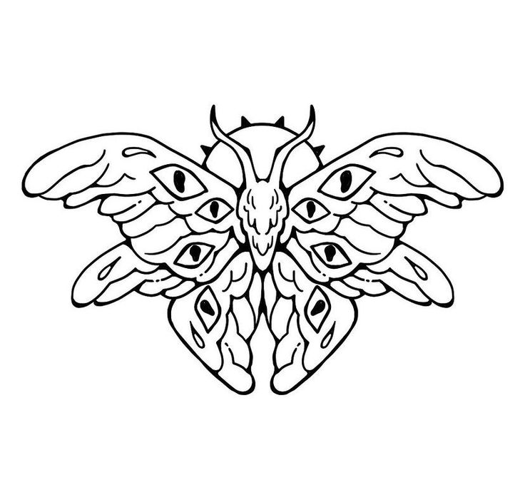 a black and white drawing of a moth