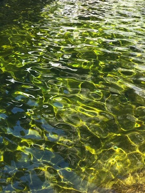 the water is very clear and green with little ripples on it's surface