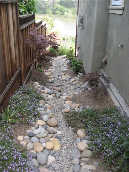 a small garden with rocks and purple flowers