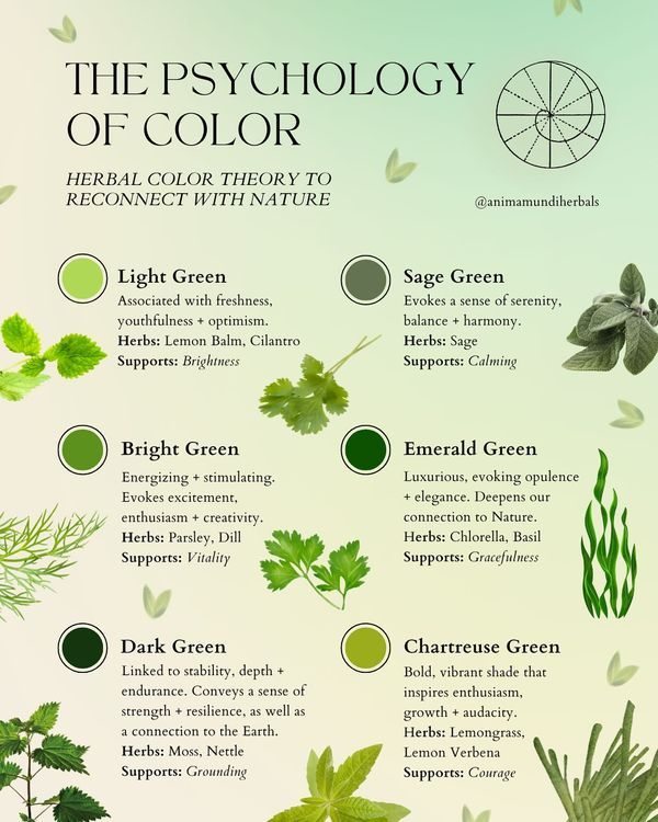 Green Psychology, Psychology Of Color, Color Therapy Healing, Green Lights, Healing Practices, Color Healing, Healing Spirituality, Witch Spirituality, Lush Forest