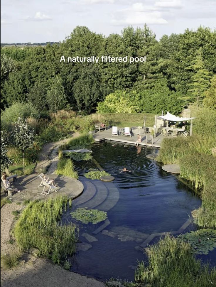 an aerial view of a small pond surrounded by trees