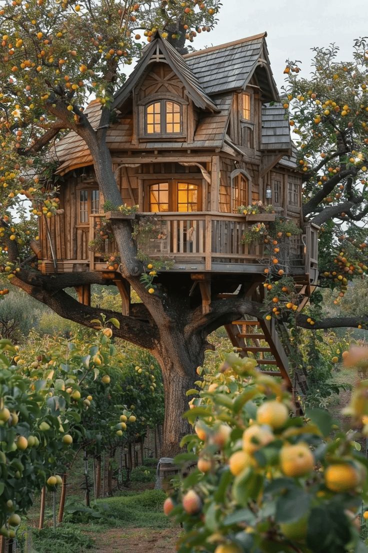 a tree house built into the side of a large apple tree in an orchard with lots of oranges