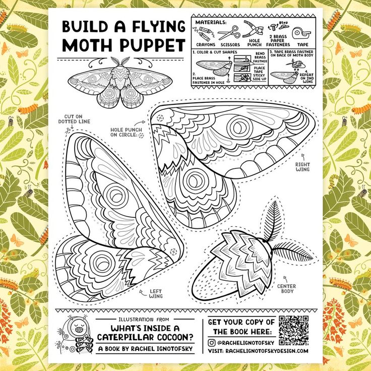 an adult coloring book with the instructions for how to draw moths and moths in it