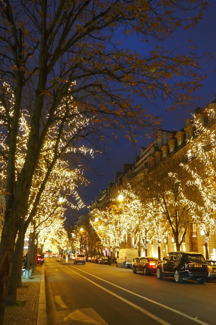 a city street is lit up with christmas lights and trees on both sides of the street