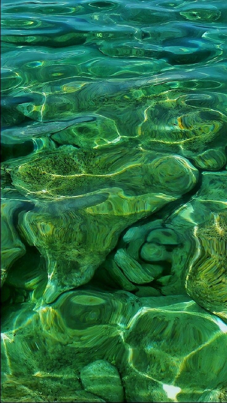 the water is very clear and green with some ripples on it's surface