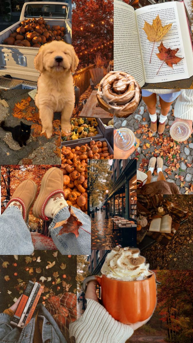 a collage of photos with autumn leaves, pumpkins and a dog