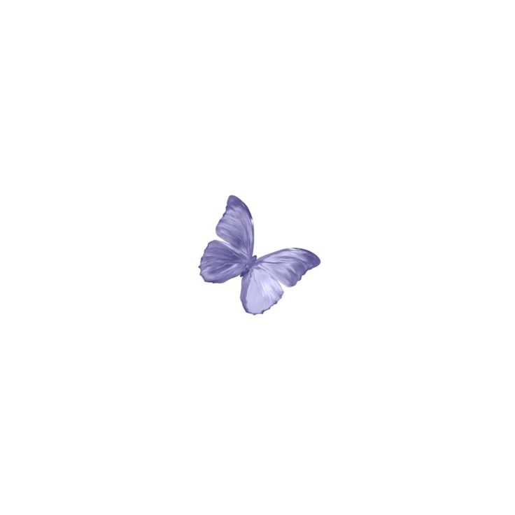 a purple butterfly flying in the sky