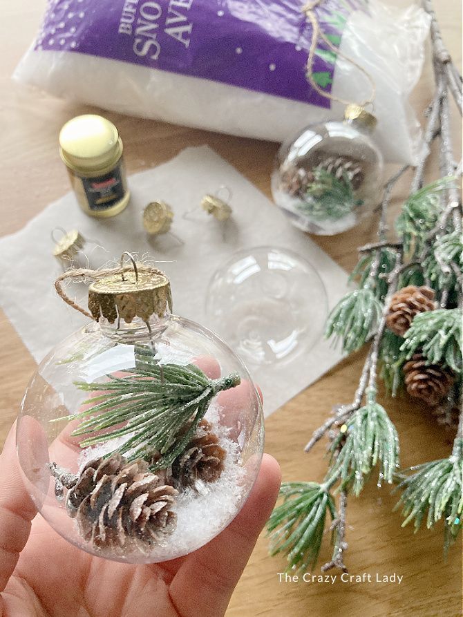 someone is holding a glass ornament with pine cones in it