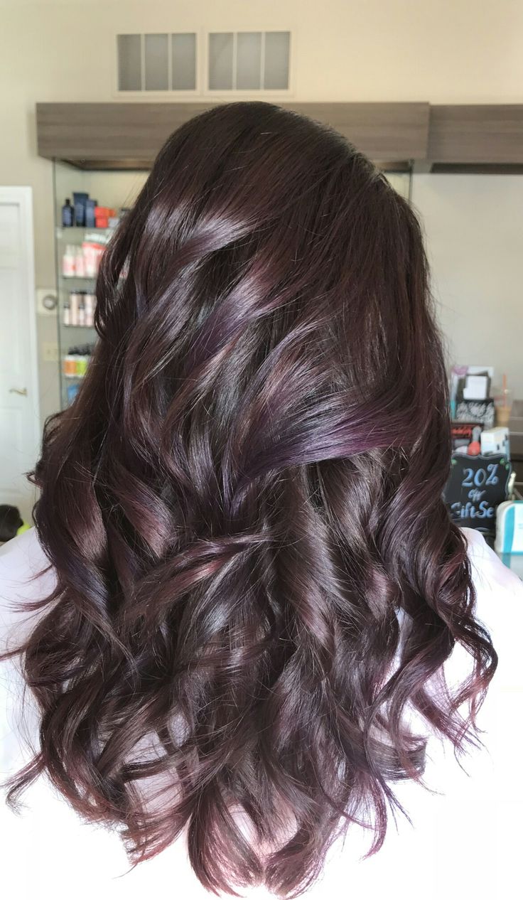 Chocolate Brown Hair With Purple Streaks, Purple Highlights On Dark Brown Hair, Dark Purple Highlights Light Brown Hair, Violet Lowlights In Brown Hair, Dark Brown Hair With Violet Highlights, Brown And Violet Hair, Dark Brown Hair With Dark Purple Highlights, Eggplant Highlights On Dark Hair, Violet Highlights In Brown Hair