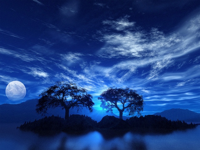 an island with two trees on it under a full moon