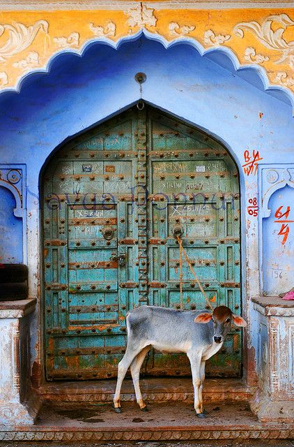 a goat standing in front of an ornate doorway with blue and yellow paint on it