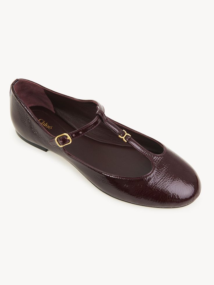 Chloé Marcie Ballerina | Chloé US Chocolate Brown Interior, Comfortable Ballet Flats, Dior Designer, Chloe Shoes, Brown Interior, Louis Vuitton Designer, Chloe Marcie, San Sebastian, Plum Purple