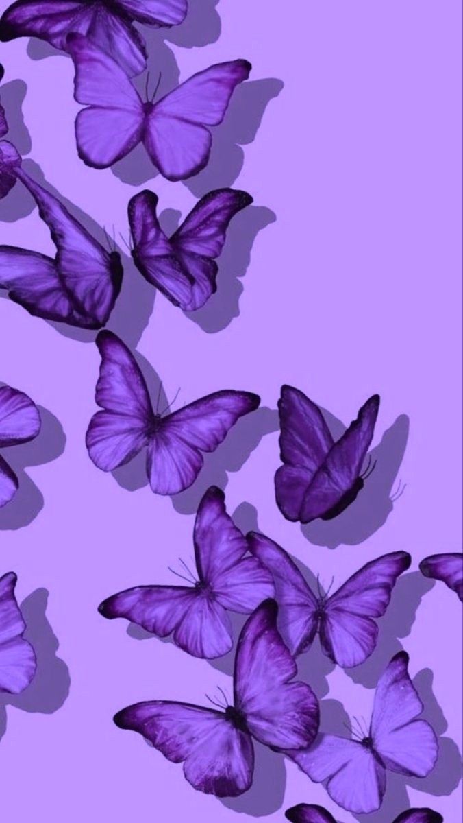 many purple butterflies are flying in the air and there is no image on this page to describe