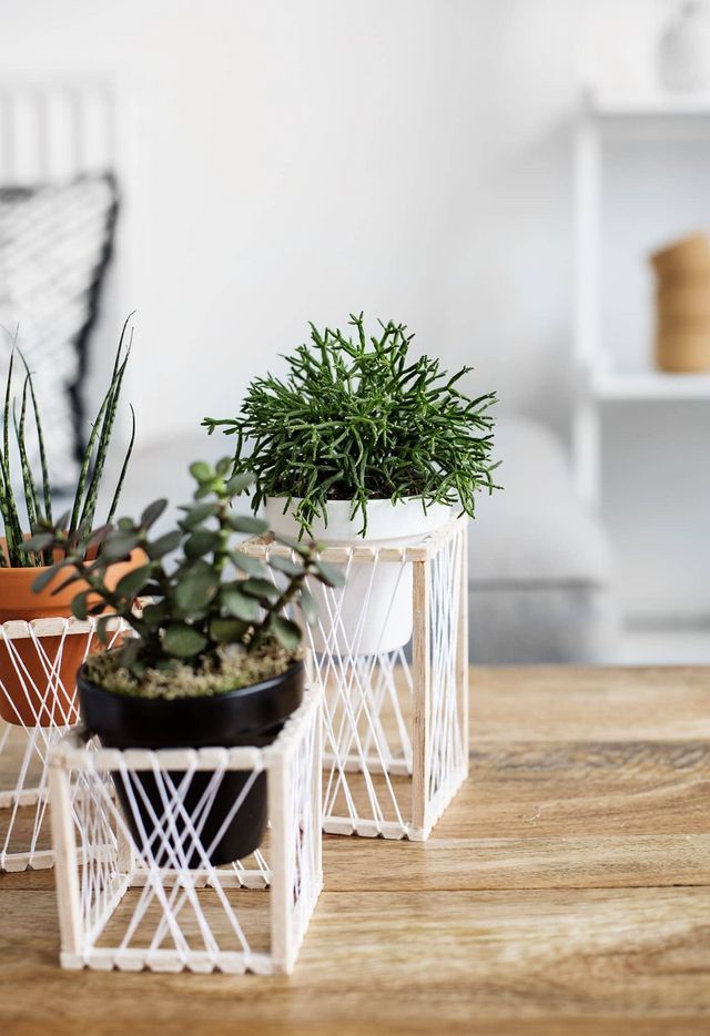 three plants are sitting in small white planters on a wooden table next to a chair