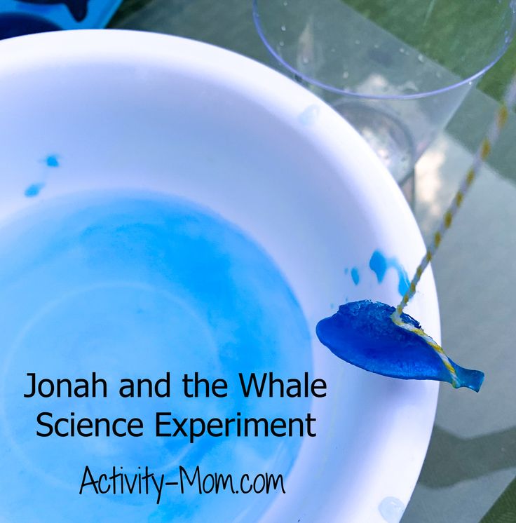 Jonah And The Fish Activities, Jonah Bible Activity, Preschool Jonah And The Whale Activities, Jonah And The Whale Sensory Bin, Jonah And The Whale Lesson Preschool, Jonah And The Big Fish Activities, Jonah Bible Story Activities, Craft For Jonah And The Whale, Jonah Bible Story Craft