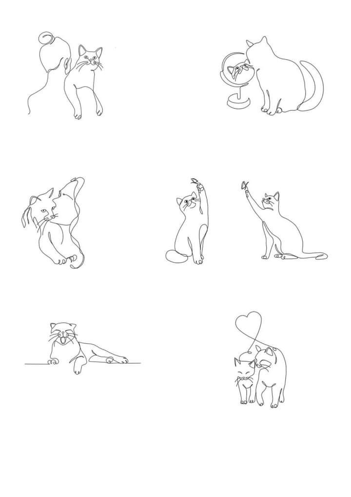 several cats that are standing up and sitting down