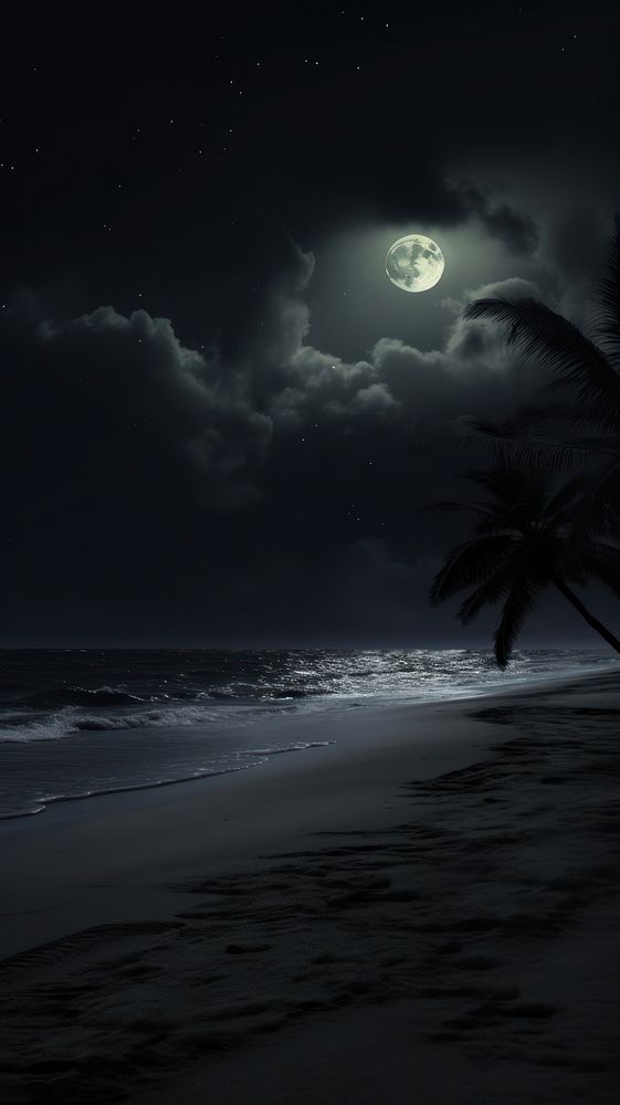 a full moon is seen over the ocean with palm trees on the beach at night