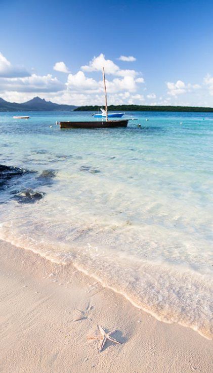 there is a boat that is in the water at the beach with starfish on the sand